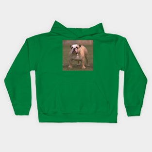 Bulldog fawn and white second Kids Hoodie